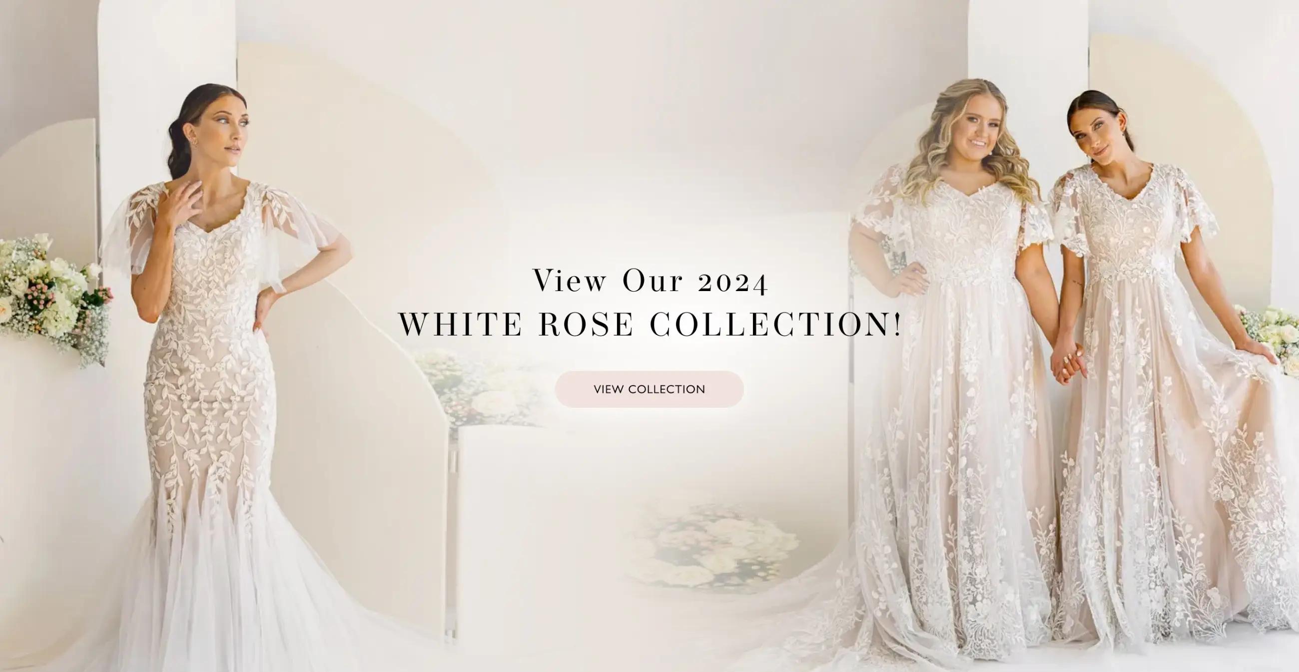 White Rose 2024 Collection desktop banner