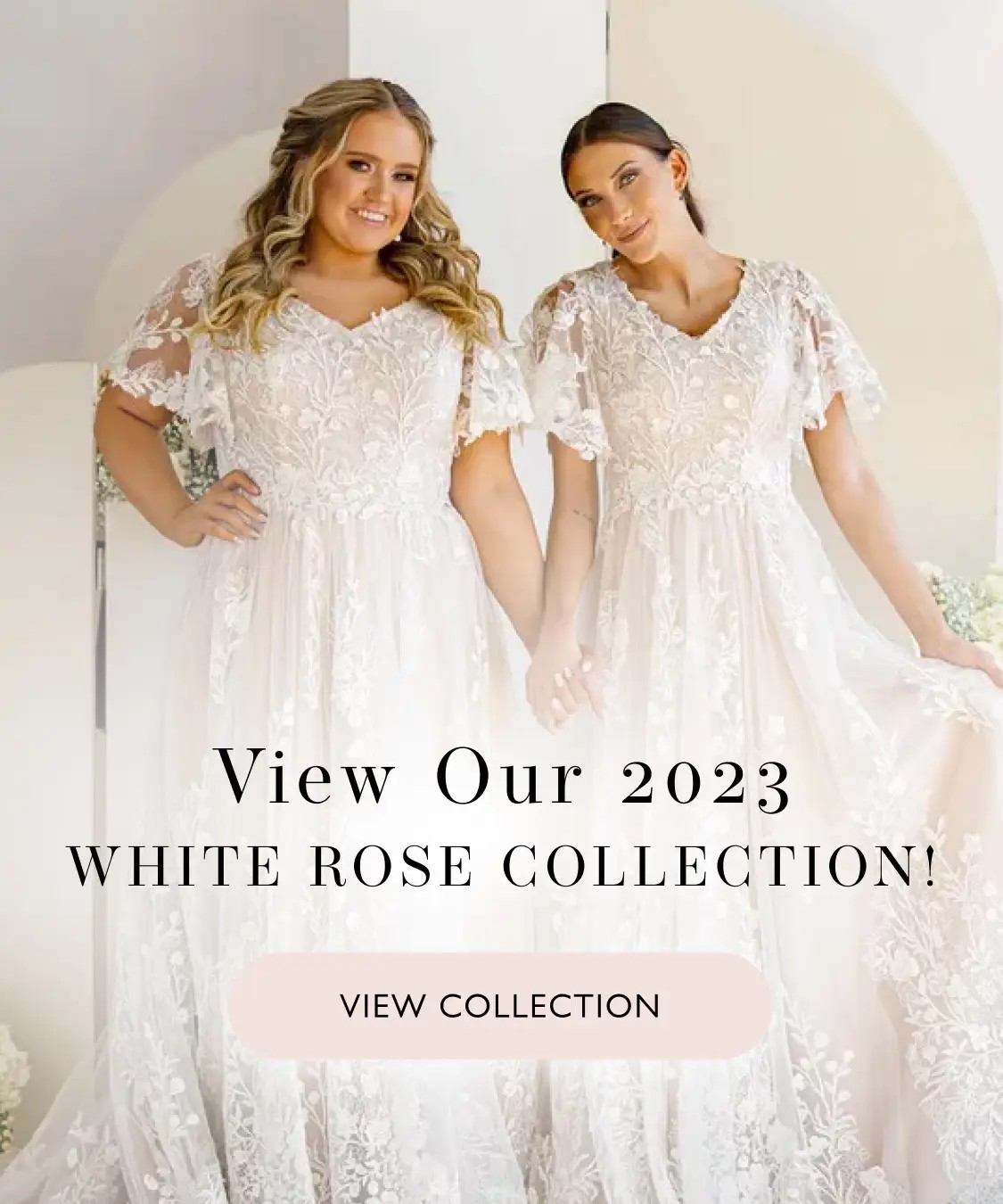 White Rose 2023 Collection