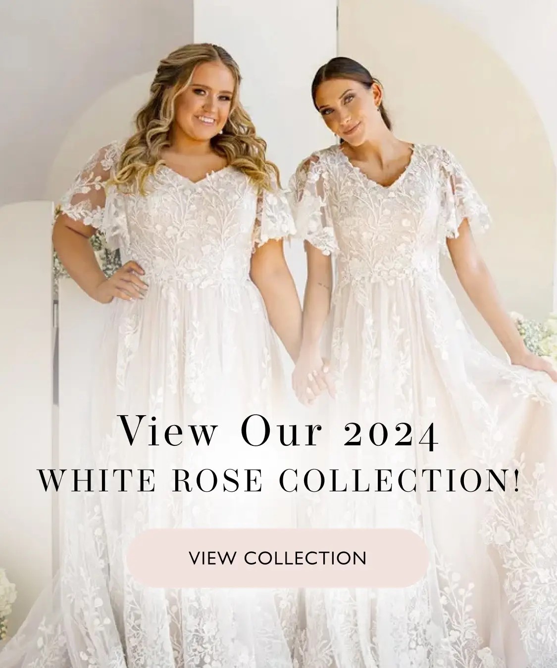 White Rose 2024 Collection mobile banner