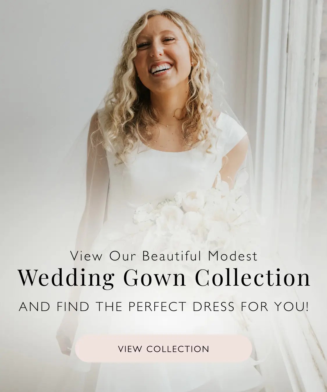 Modest banner_View Collection